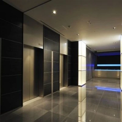 High-End Passenger Elevator High-End Passenger Elevator